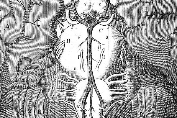 image from Revealing the Brain exhibition, being a cutout from Anatomy of the brain, Thomas Willis, 1664