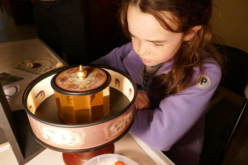 Victorian Visual Wonders.jpg