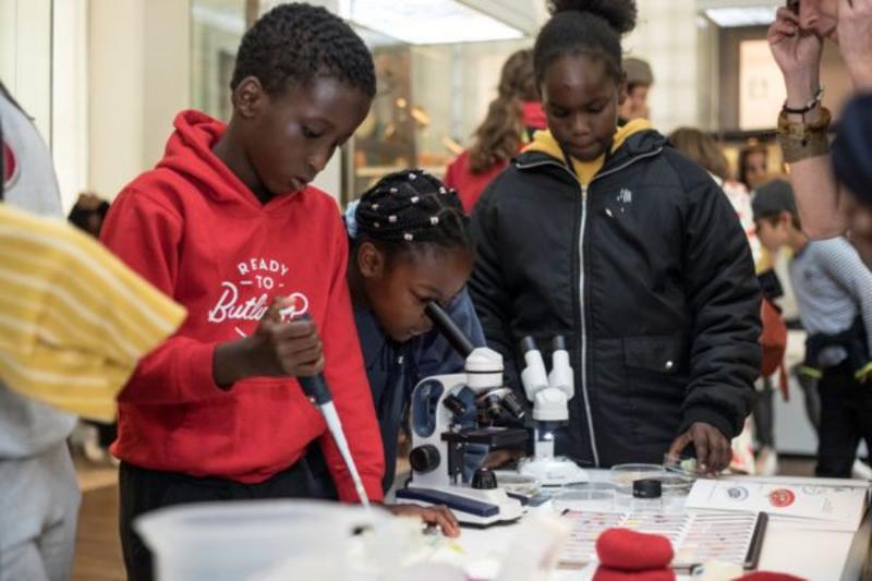 Looking through microscopes 